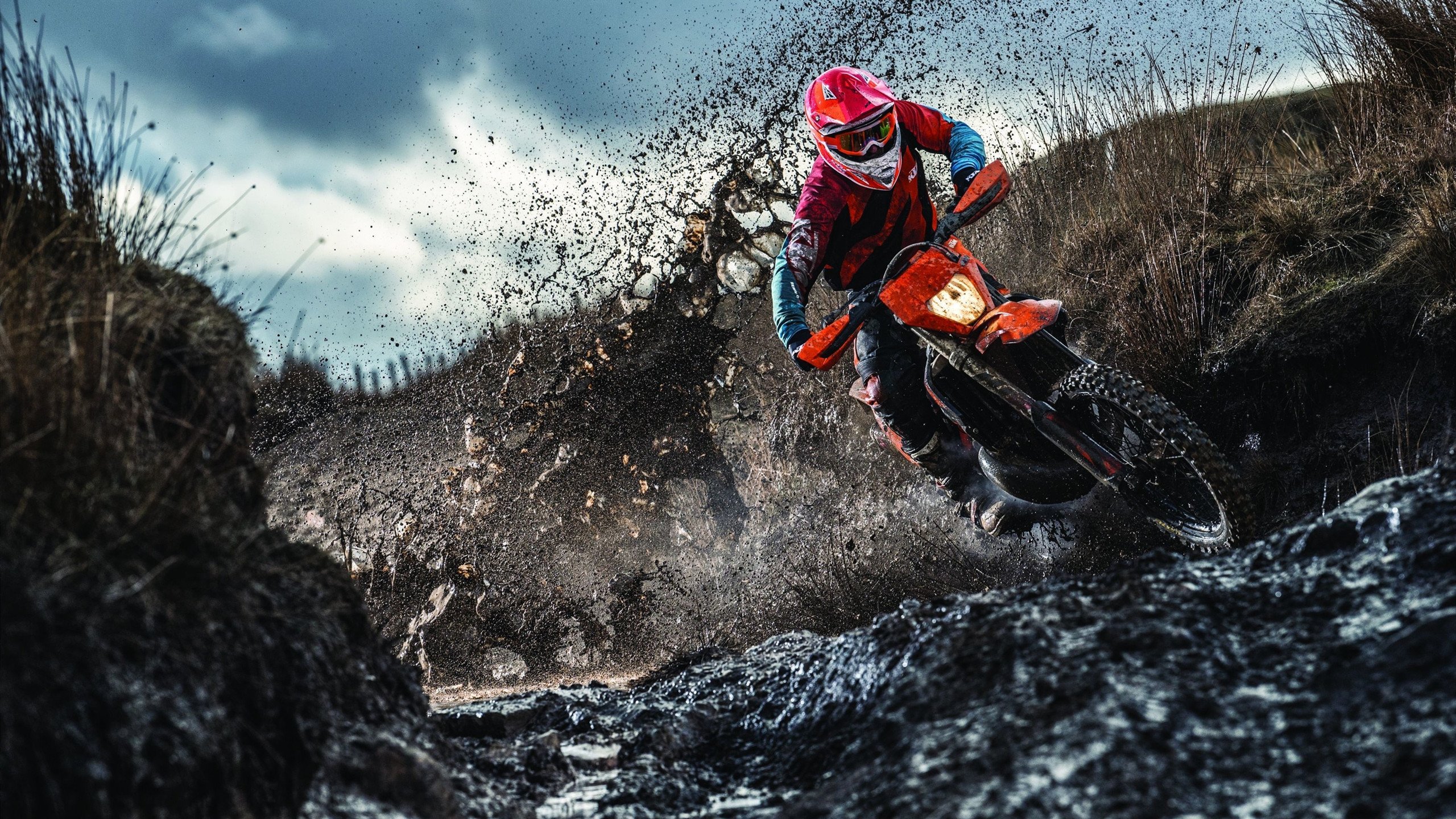 保利斯塔年轻阵容潜力巨大,保利斯丹